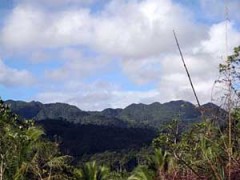 Mt. Nacolod, Southern Leyte