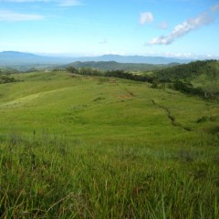 [2013] Participatory Resource Appraisal-Resource and Social Assessment (PRA-RSA) for Bukidnon Sub-Watershed Covering Talakag Municipality